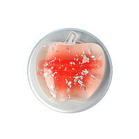 Accesorii GSM - Stand suport adeziv Apple Magsafe: Stand suport adeziv Apple Magsafe Coral
